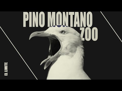 Pino Montano Zoo