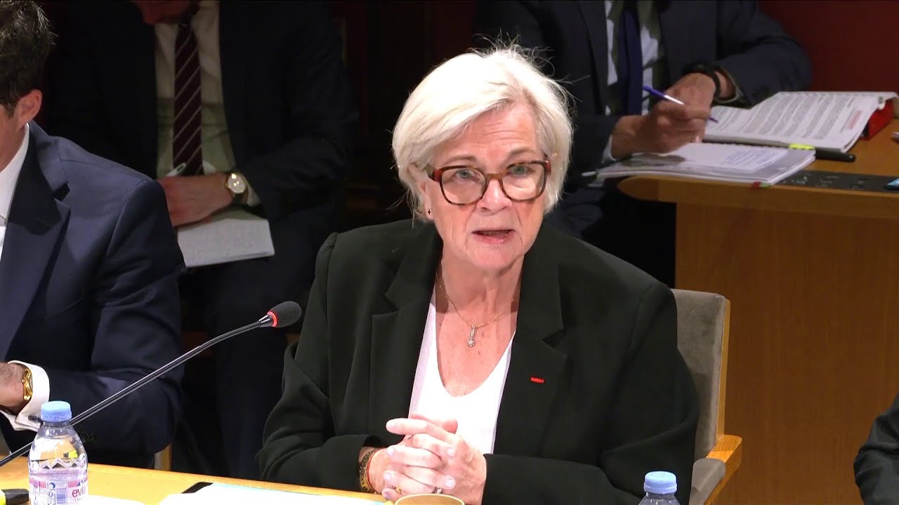 Updated Military Programming Law: 36 billion more to address new threats, defended by Catherine Vautrin