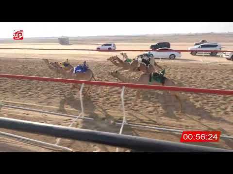  ش 18 (زاهيه) لـ سالم محم دحمد الدليله العامري 2:17:30 ، شارة الصندوق 2026/07/25 فطامين الوثبة
