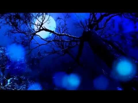 The most beautiful spanish chillout - Spanish Nights (mixed by SpringLady)