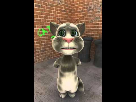 Talking Tom - Maroon 5 - One More Night