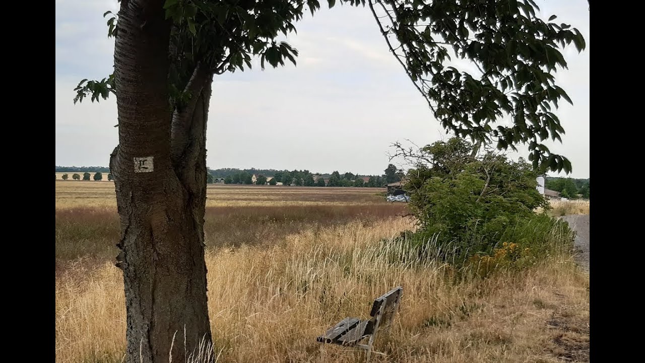 Lutherweg von Jesewitz nach Eilenburg 25 Juni 2022