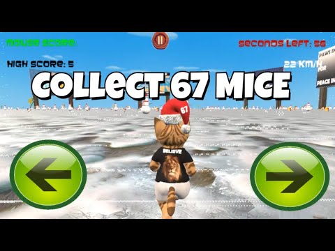 Cat Run Frenzy video thumbnail
