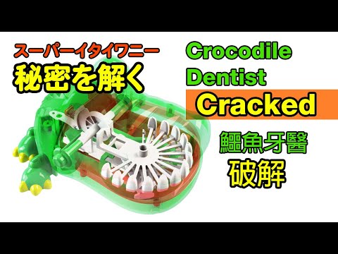 破解鱷魚牙醫神祕原理！為什麼每次位置都不同？