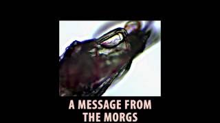 My Morgellons Symptoms - A Message from The Morgs