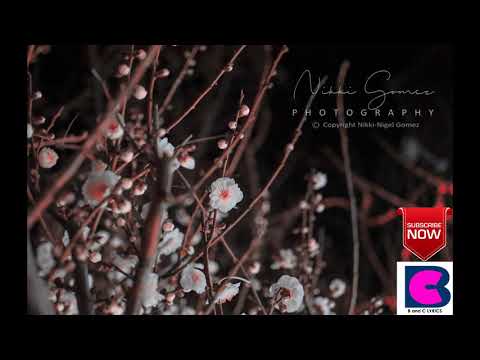 Sarah Geronimo feat. Hale — The Great Unknown