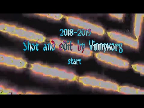 Vinnymorg Director’s Reel