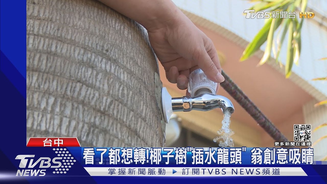 看了都想轉!椰子樹「插水龍頭」 翁創意吸睛
