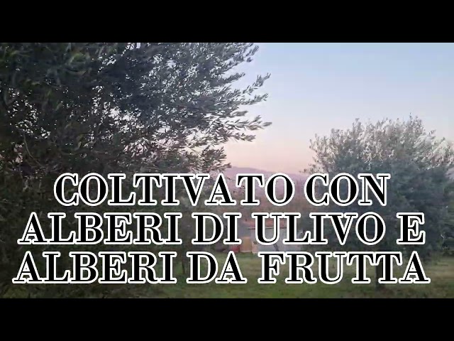 deposito attrezzi con terreno