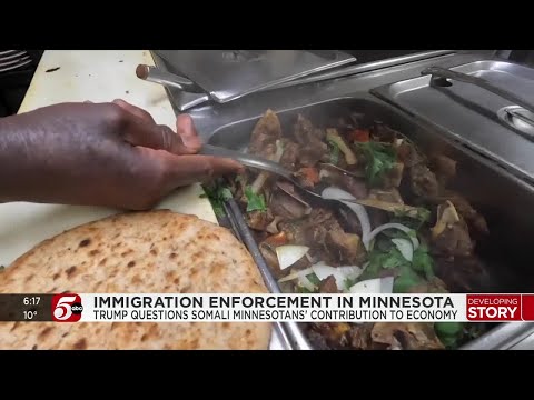 Somali Minnesotans drive economic growth, pay $67M taxes annually