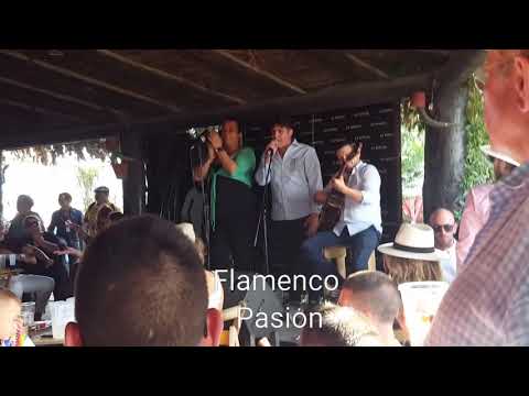 Alejandro Mora cantando en El Rocio