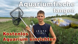 Fische fangen + Aquarium einrichten -  Lebendgebärende Fische für das 1000 Liter Aquarium kostenlos!