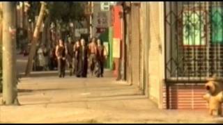 Skinny Puppy: Pro-Test