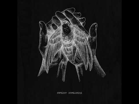 Spirit of the Forest - Mr kitty | Slowed Reverb