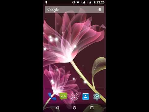 Pink Lotus Live Wallpaper Video