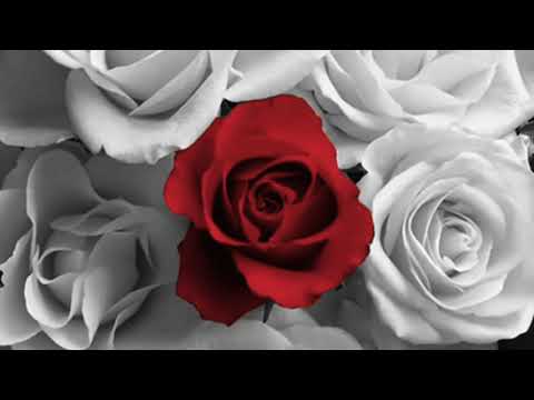 Spanish Romance-Romance d'Amour-Accordion Version