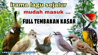 Download lagu Kombinasi Masteran Tembakan Kasar untuk Murai batu, Cucak ijo mp3 Download lagu Kombinasi Masteran Tembakan Kasar untuk Murai batu, Cucak ijo mp3