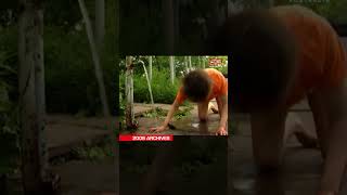 Download lagu Girl raised by dogs is now 40 years old | 60 Minutes Australia mp3