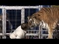 Circus Families Keep Big Top Traditions Alive