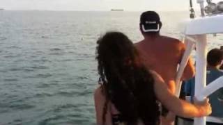 preview picture of video 'Delfines en Villamarina'