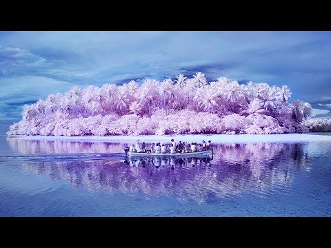 Exploring the ‘Island of the Colour Blind’ with Sanne De Wilde