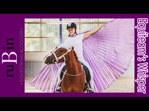 Goodbye Sissi! | Mustang Makeover 2018