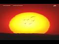 Fahlberg - Feeling Good (Extended Mix)