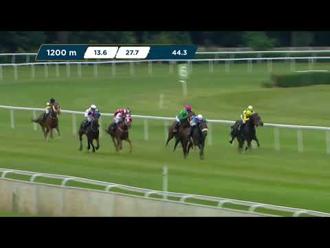 25.06.2023 - (Dzień 17; Gonitwa 4)