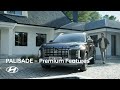 PALISADE I 2023 Update I Premium Features