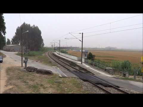 Comboio de Madeira nº 48898 - Linha do Oeste