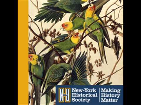download lagu mp3 mp4 John James Audubon Wild Turkey Male, download lagu John James Audubon Wild Turkey Male gratis, unduh video klip John James Audubon Wild Turkey Male