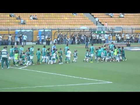 Entrada do Palmeiras no Estádio do Pacaembú - Palmeiras x Penapolense - 27/01/2013