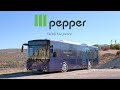 Pepper Motion Company Overview