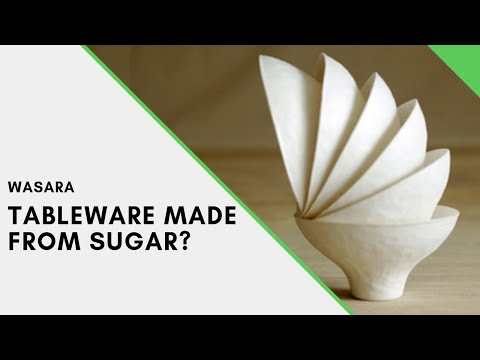 Wasara: The Coolest Eco-Friendly Tableware