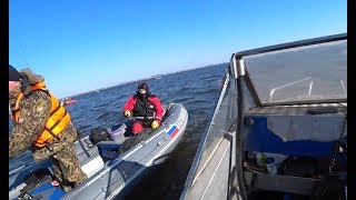 Гастелло 39 рыболов