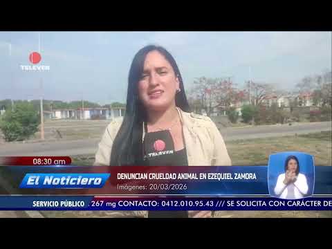 Denuncian crueldad animal en Ezequiel Zamora – El Noticiero emisión meridiana 20/03/26