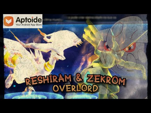 AZAI — Pokémon Experience — Reshiram & Zekrom Overlord — FAIRY ORIGIN