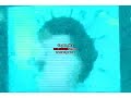 Klasky Csupo Effects 1 In G Major 50