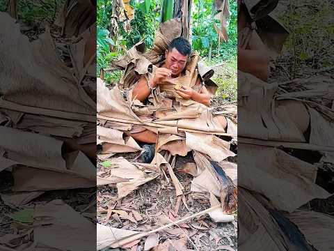 Giải trí,hài hước