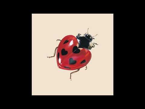 (free) STEVE LACY + INDIE POP TYPE BEAT - "Ladybug"