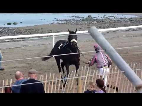 Racehorse Spooked - Laytown Rodeo 2014