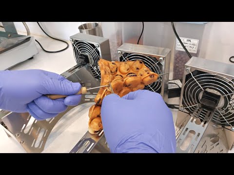 Delicious Oreo & Chocolate Waffle - Korean Street Food