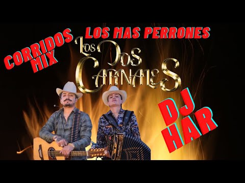 LOS DOS CARNALES LOS CORRIDOS MAS PERRONES MIX 2021 DJ HAR