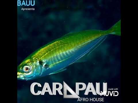 Skid Bauu - Carapau ( Afro house )