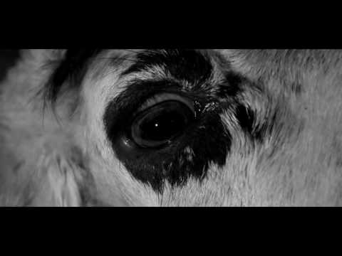 Lunas de abril - (Teaser 1)