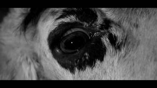 Lunas de abril - (Teaser 1)