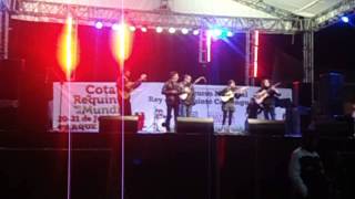 preview picture of video 'Encuentro de música campesina Cota 2014 sopó'