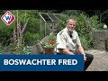 Boswachter Fred woont middenin het Staelduinse Bos - OMROEP WEST