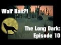 Episode 10 of The Long Dark | WE ARE WOLF ...
