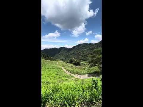 新社區-二櫃段農地出售 第1張共11張
